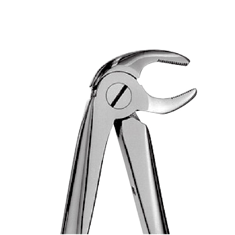 13 – Lower Premolars Forceps