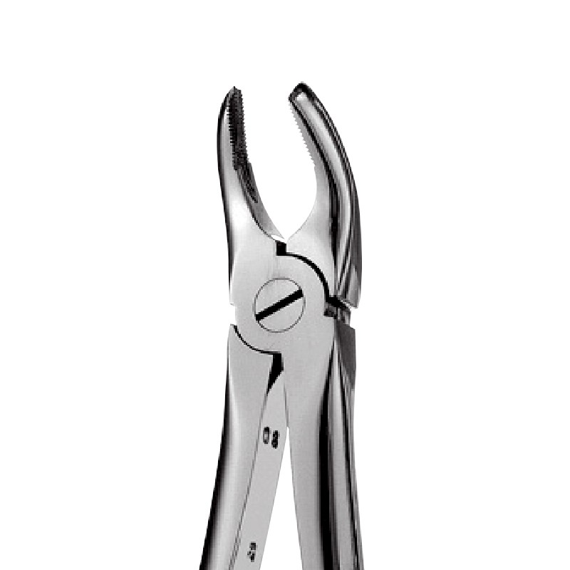 17 – Right Upper Molars Forceps