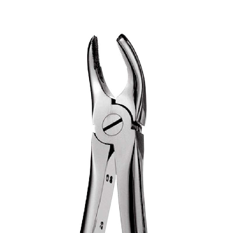 17 – Right Upper Molars Forceps