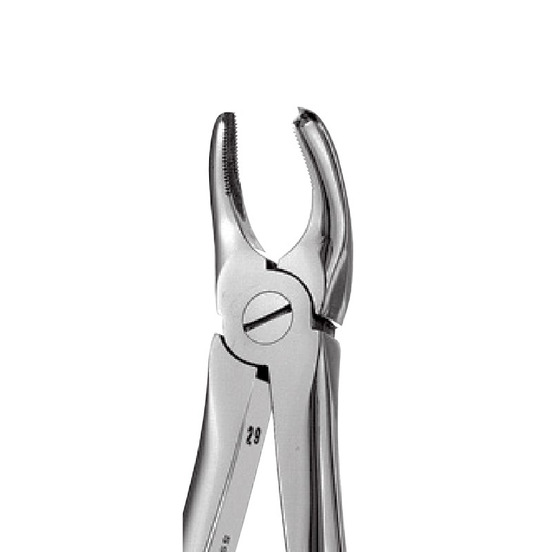 18 – Left Upper Molars Forceps