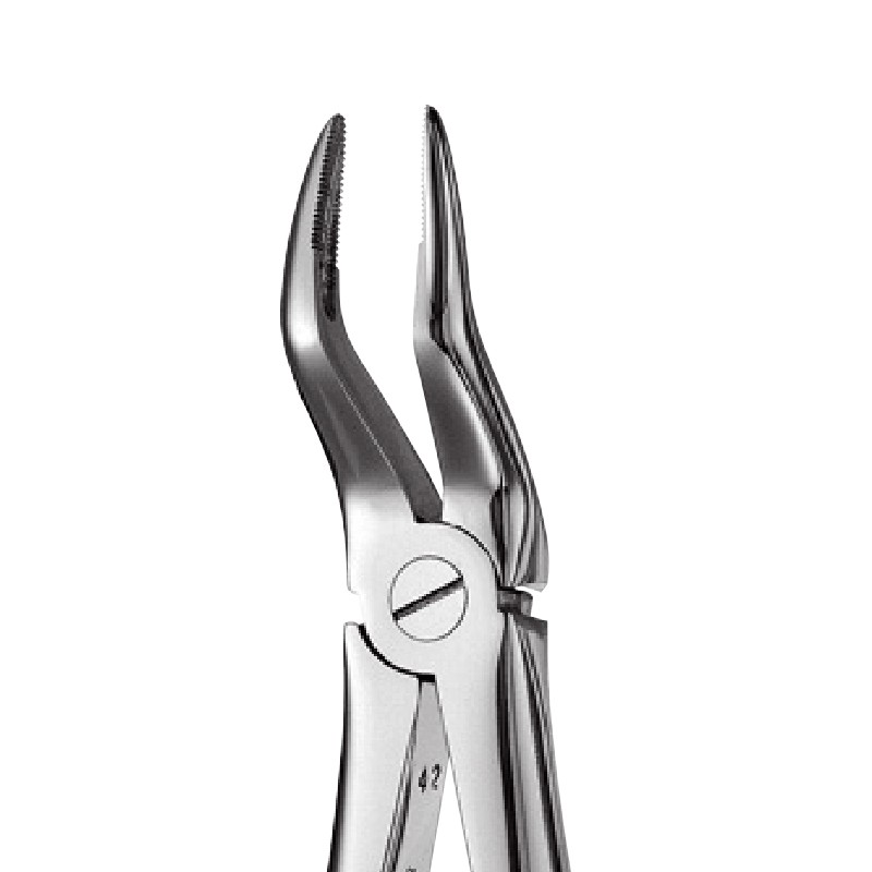 51A – Upper Roots Forceps