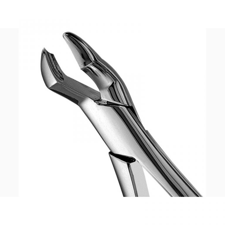 53L – Upper Molar Forceps