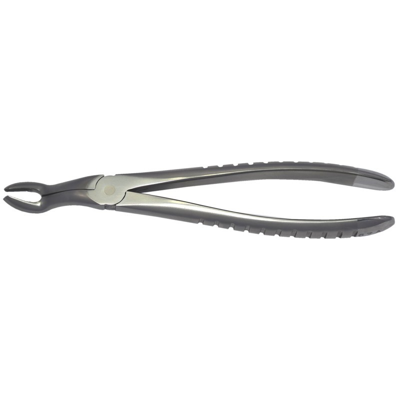 67A – Upper Third Molars Forceps