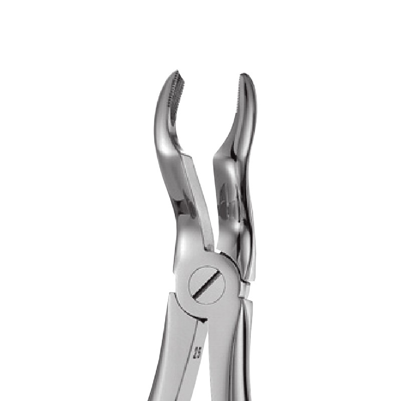 67A – Upper Third Molars Forceps