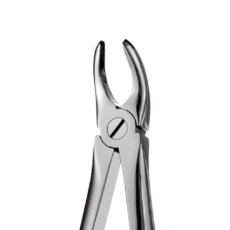 7 – Upper Premolars Forceps