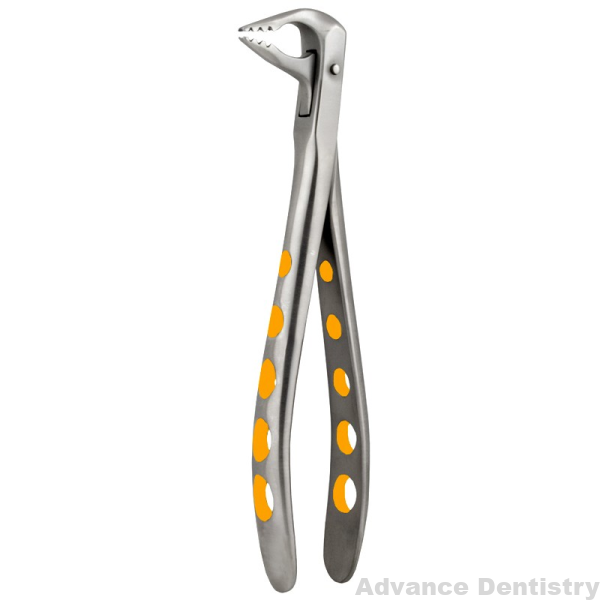 Lower Anterior eXcel ™ Forceps Gold