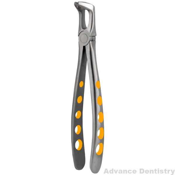 Lower Molars eXcel ™ Forceps Gold