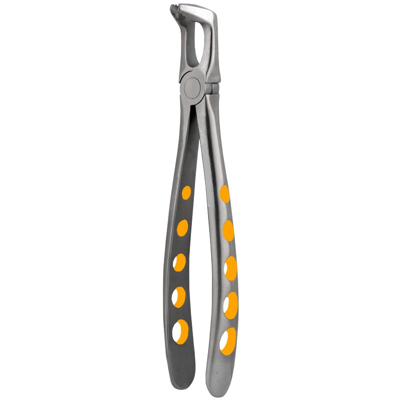 Lower Molars eXcel ™ Forceps Gold