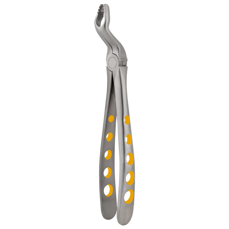 Universal Upper Molars eXcel ™ Forceps Gold