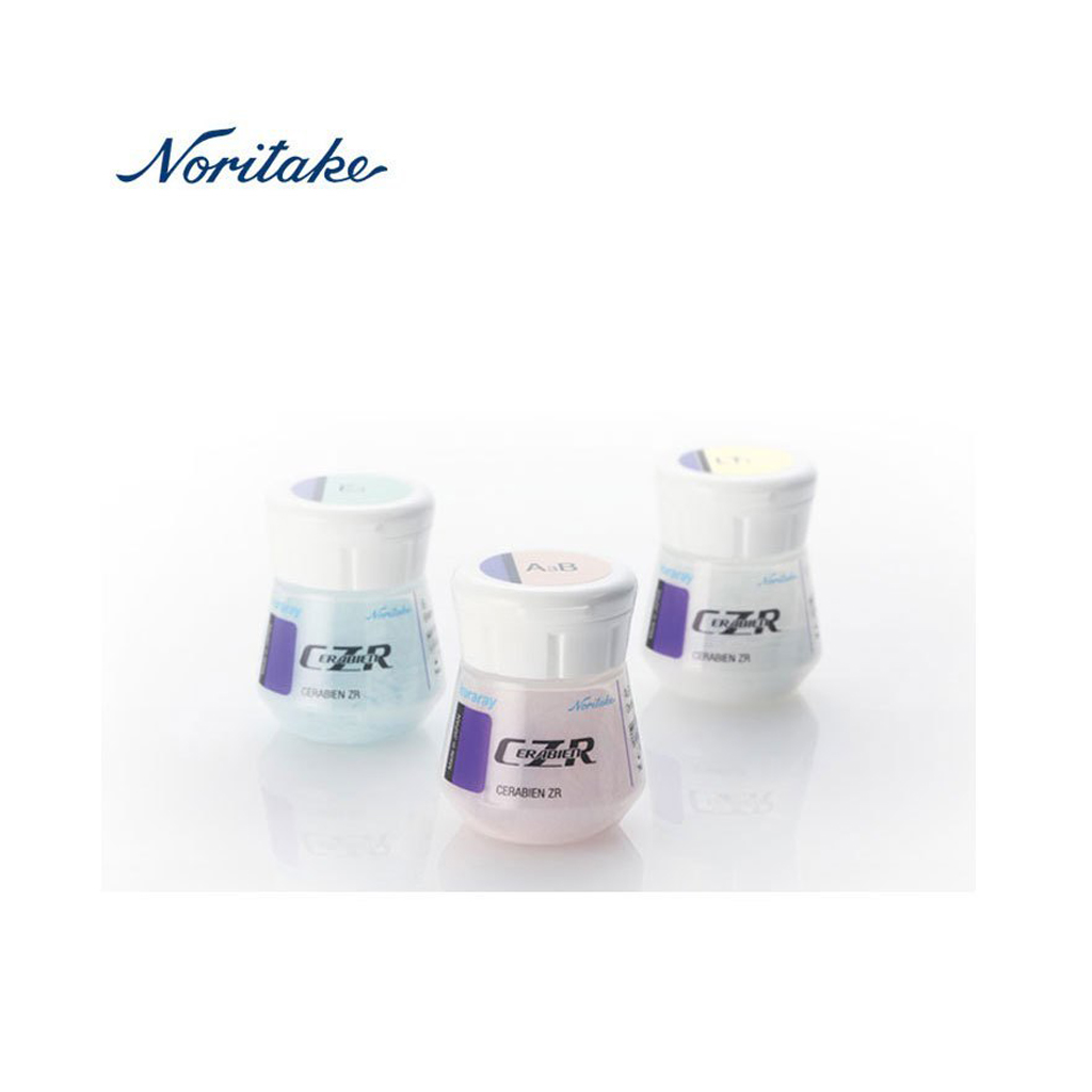 Noritake Poercelain CZR Cervical 10G