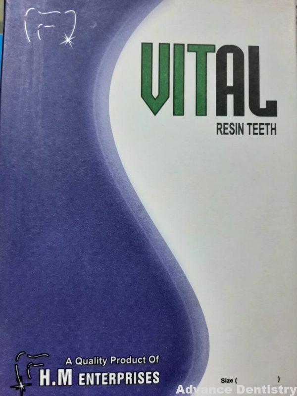 Vital teeth interior - Image 2