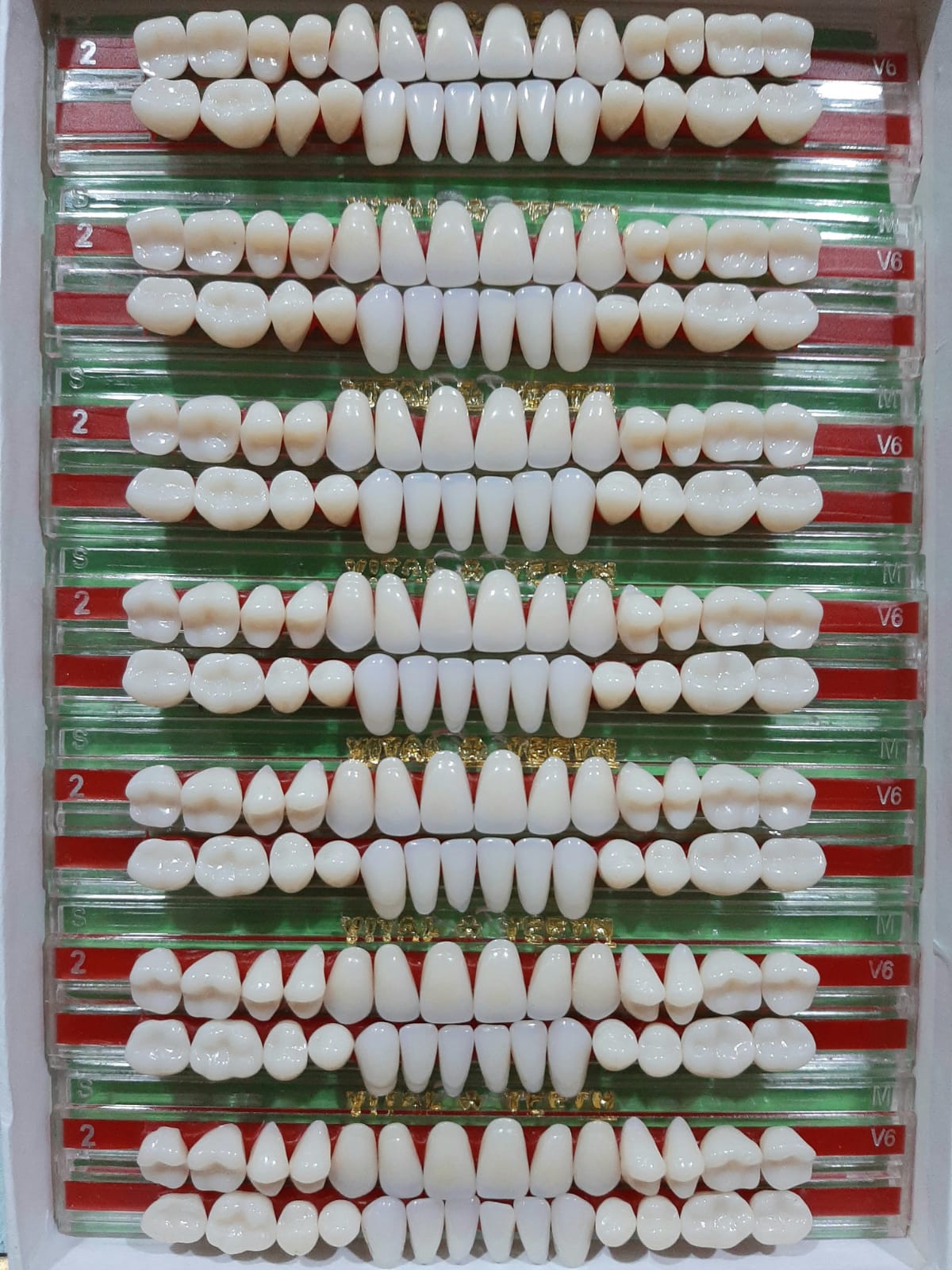 Vital teeth set