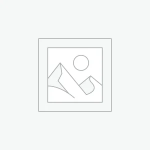 Chinese Brands